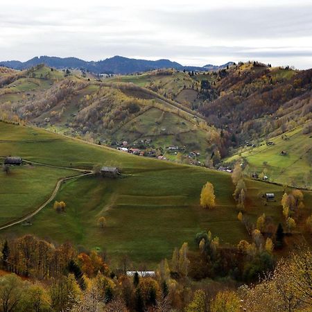 Pensiunea Montan Din Bran,Sat Simon Spa Indoor Бран Екстериор снимка