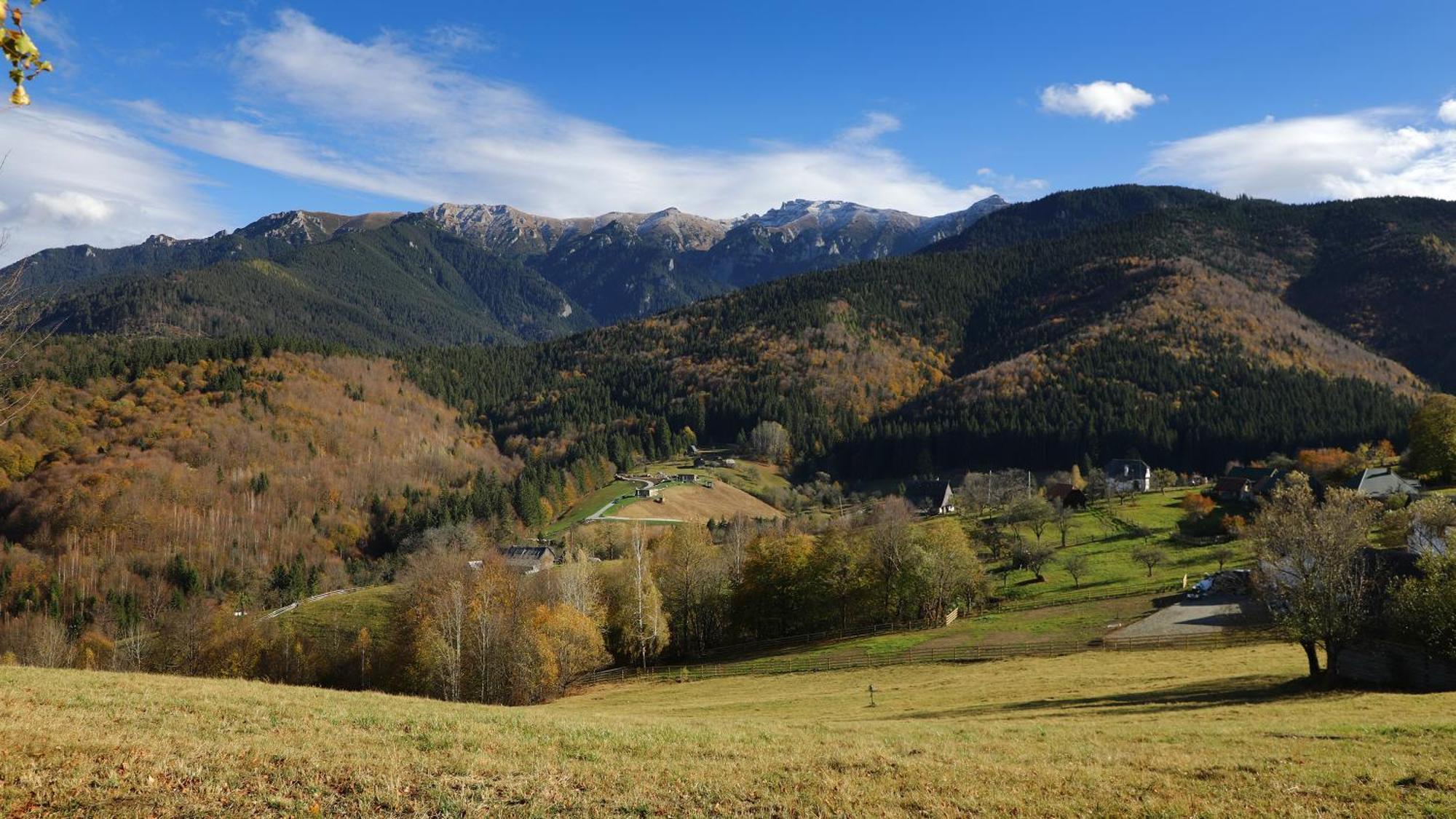 Pensiunea Montan Din Bran,Sat Simon Spa Indoor Бран Екстериор снимка